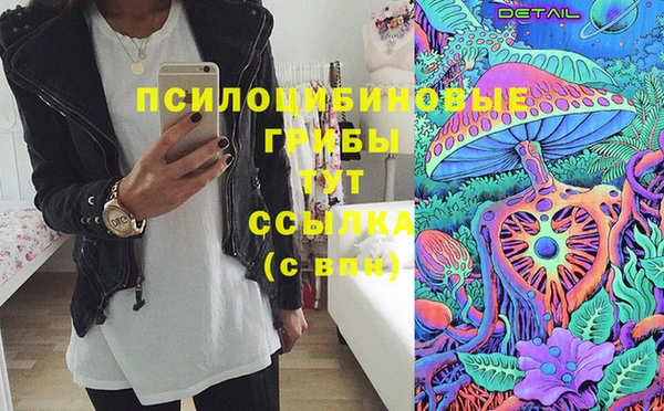 PSILOCYBIN Армянск