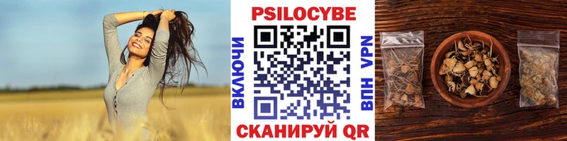 купить наркоту  Макарьев  Псилоцибиновые грибы мухоморы 
