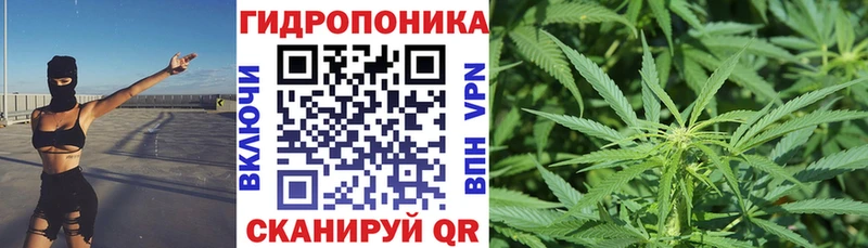 Конопля White Widow  Макарьев 